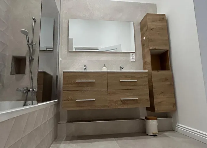 Appartement Avenue Feuchères Arènes